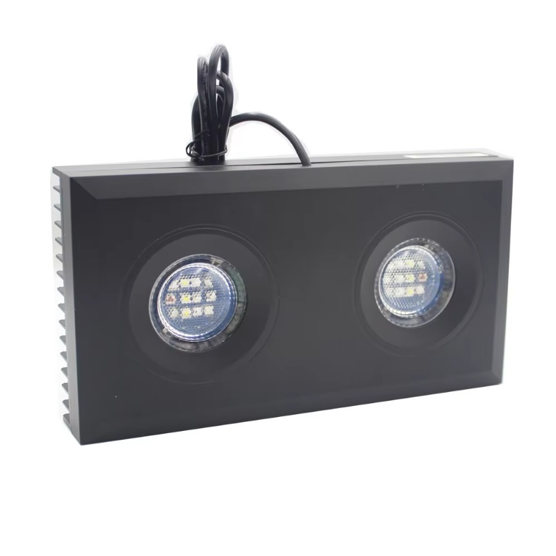 Lumière d'aquarium Led bleue à - Aquarium Fish Supplier avis et prix