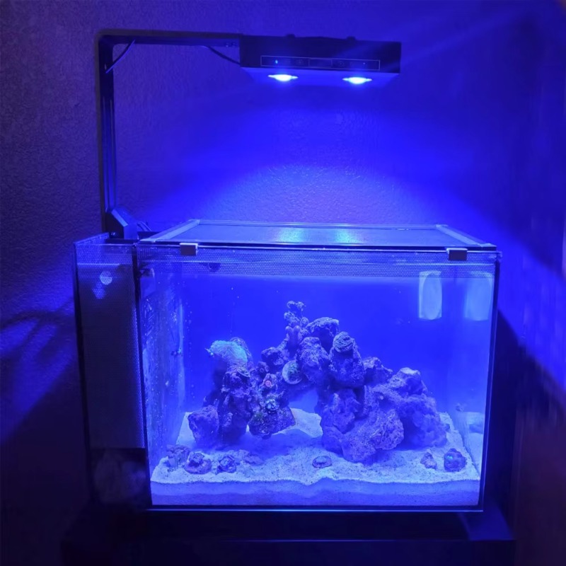 Lumière d'aquarium Led bleue à - Aquarium Fish Supplier avis et prix