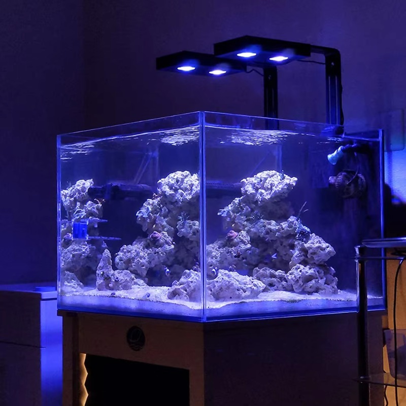 Lumière d'aquarium Led bleue à - Aquarium Fish Supplier avis et prix