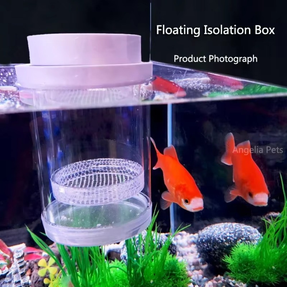 Boîte d'isolation flottante en - Aquarium Fish Jar avis et prix