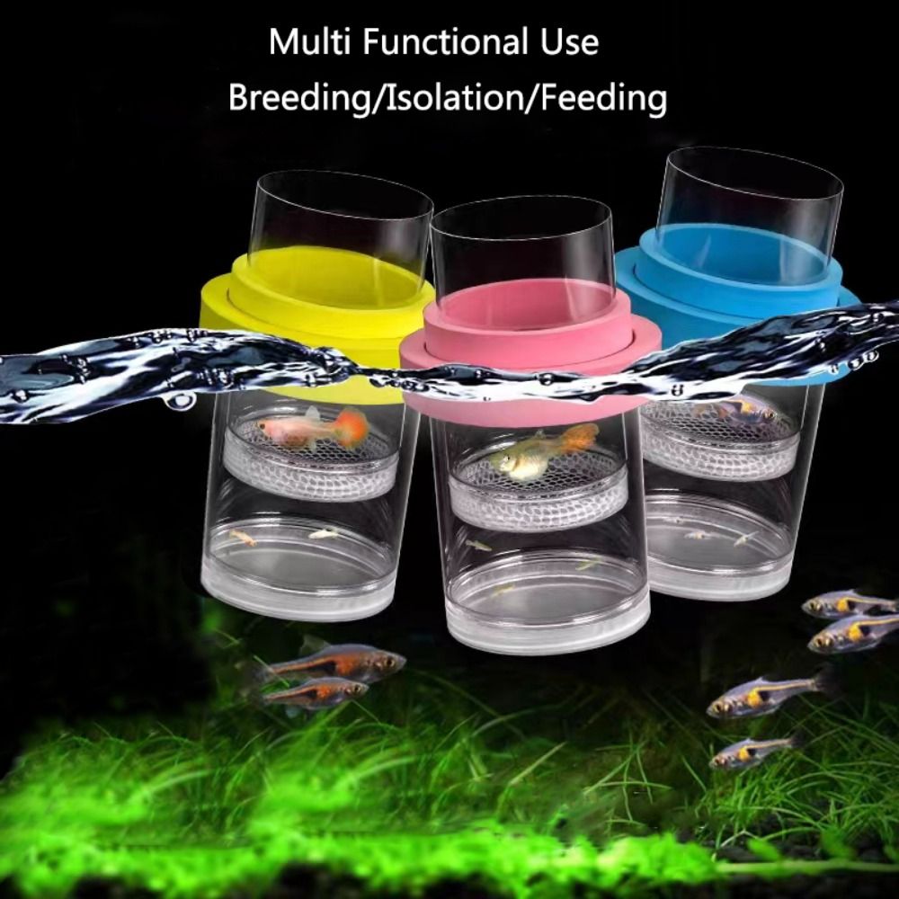 Boîte d'isolation flottante en - Aquarium Fish Jar avis et prix