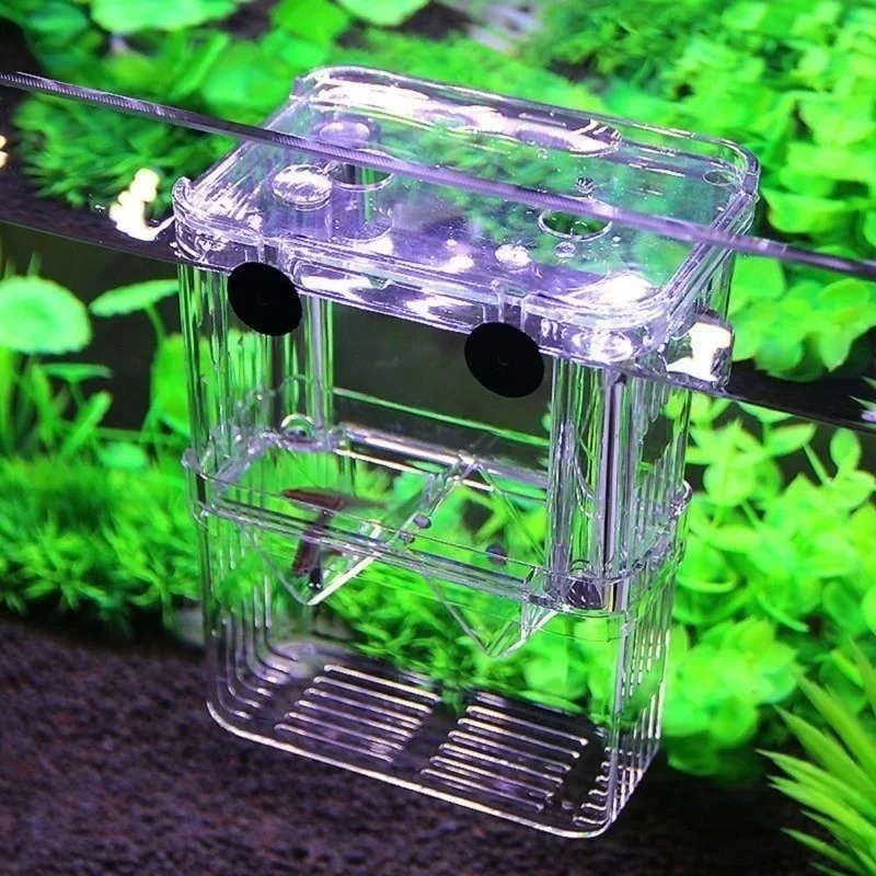 Aquarium multifonctionnel haut - Aquarium Fish Jar avis et prix
