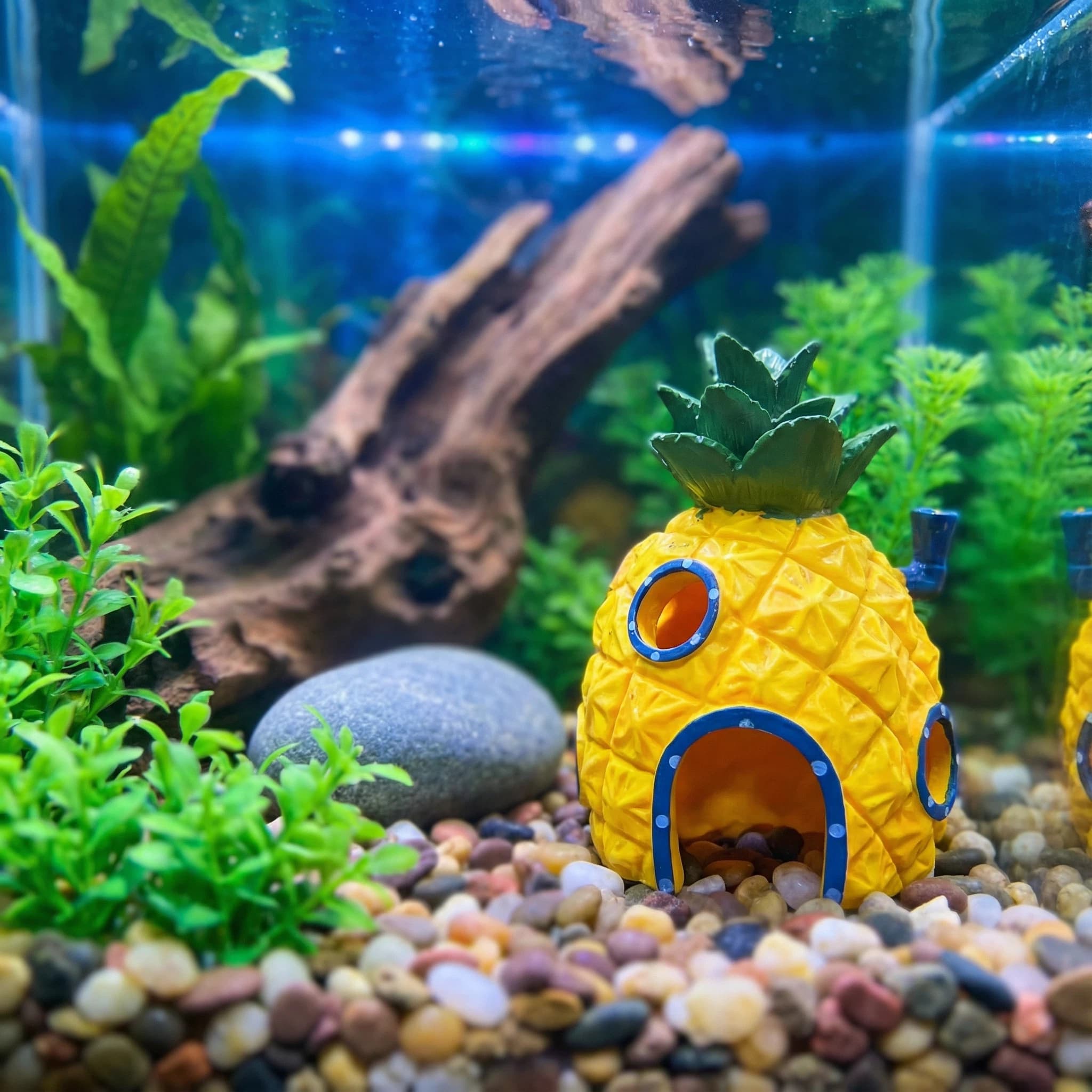 Décoration d'aquarium Pineappl - Aquarium Fish Hiding Places avis et prix