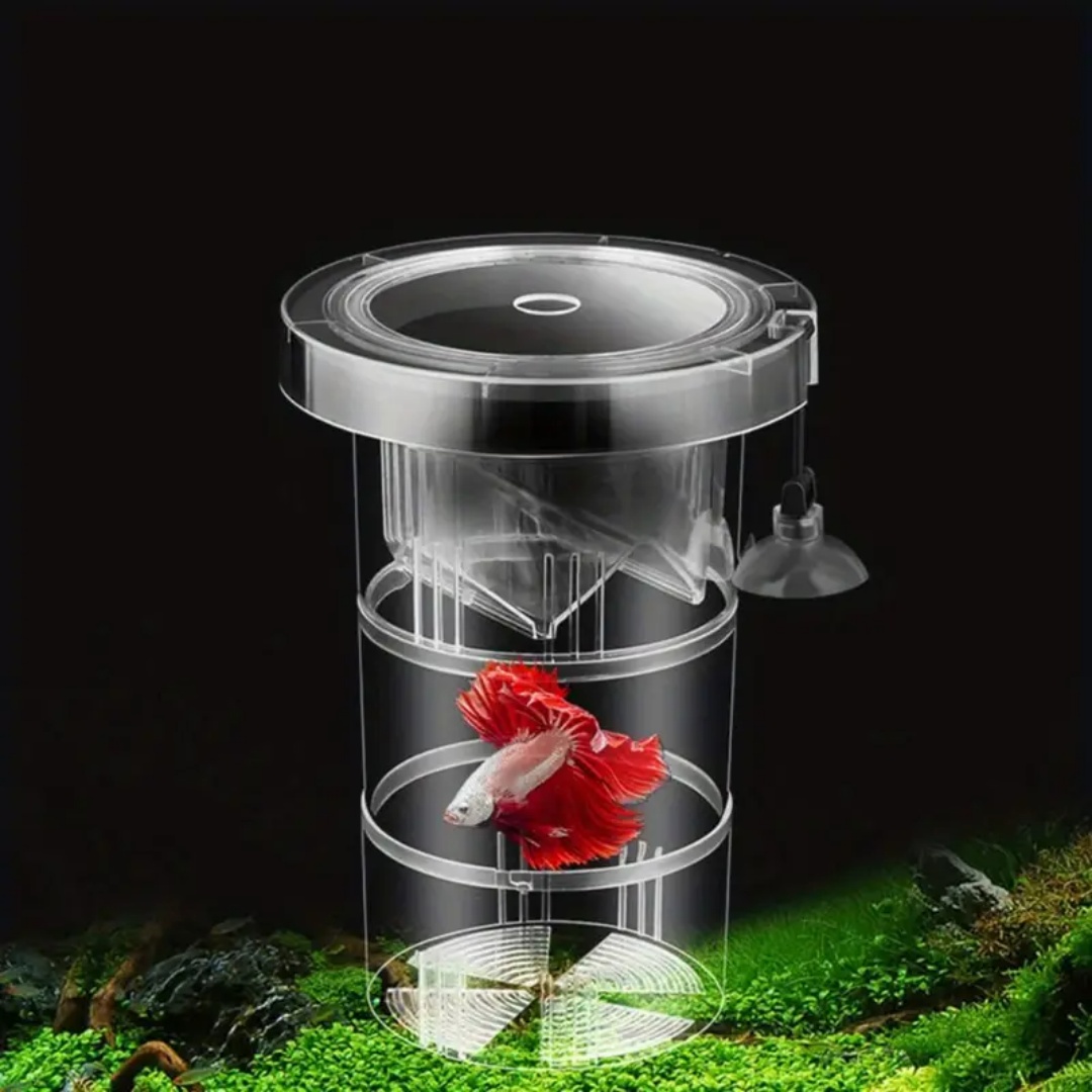 Boîte d'isolation flottante en - Aquarium Fish Jar avis et prix
