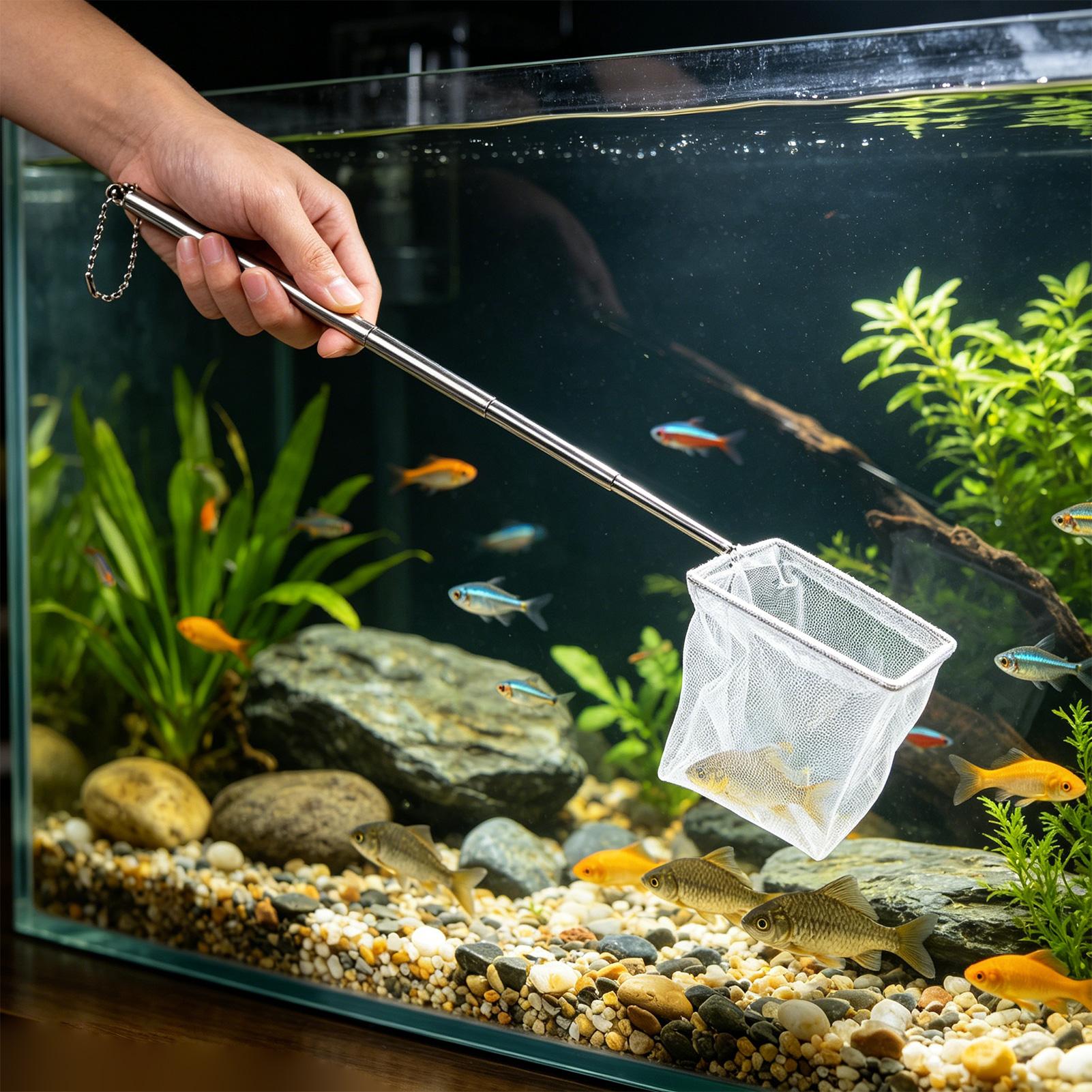 Lot de 2 Petits Épuisettes à P - Aquarium Fish Net Small avis et prix