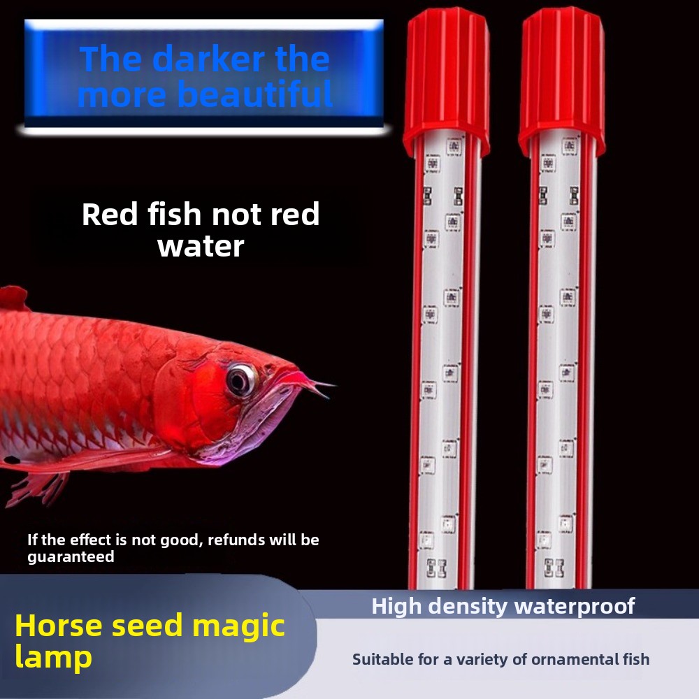 Lumière de couleur de cheveux  - Aquarium Fish Dragon avis et prix
