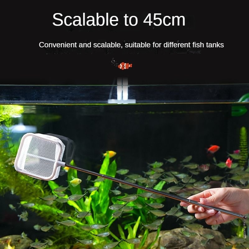 Filet de pêche rétractable en  - Aquarium Fish Net Small avis et prix
