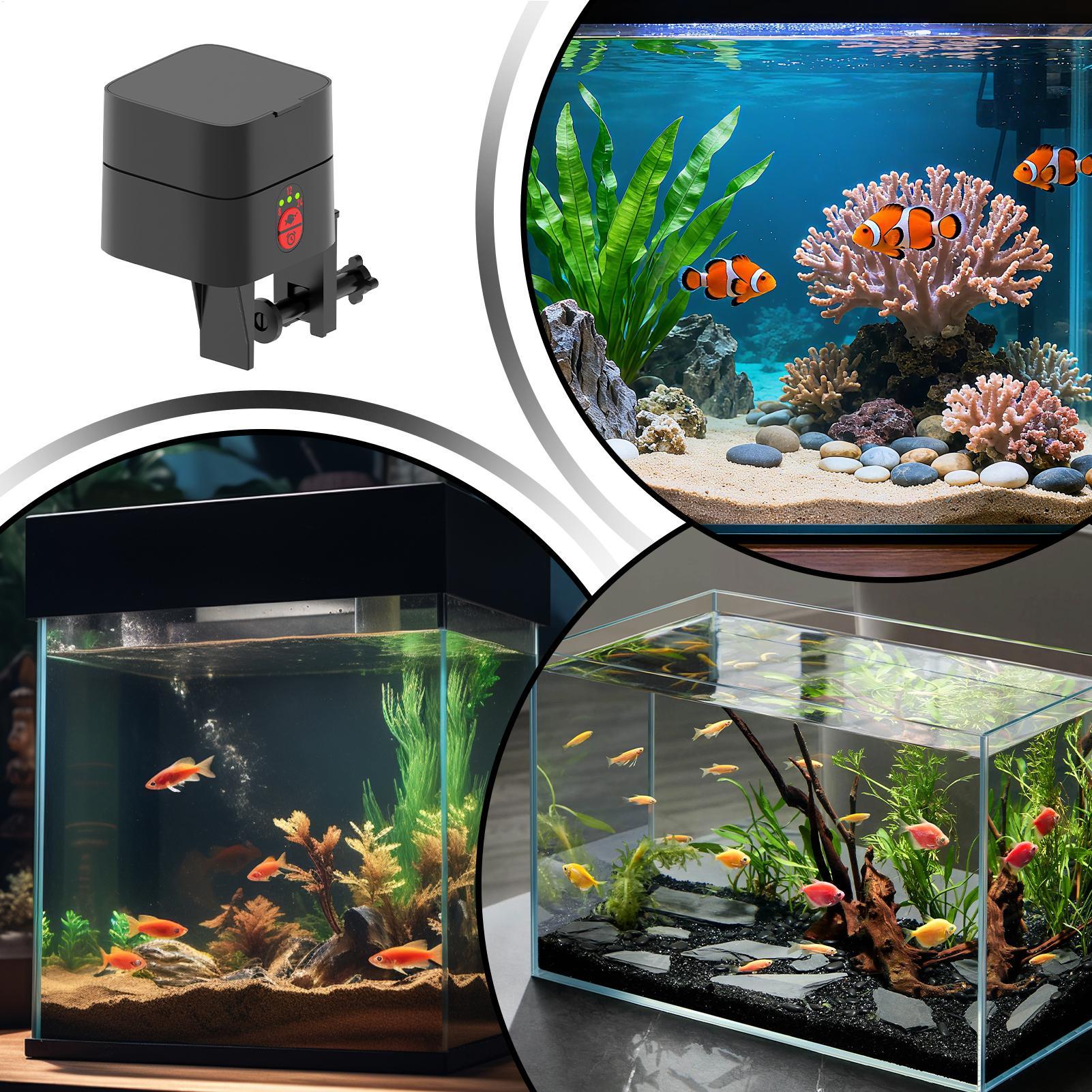 Distributeur automatique de no - Aquarium Fish Jar avis et prix