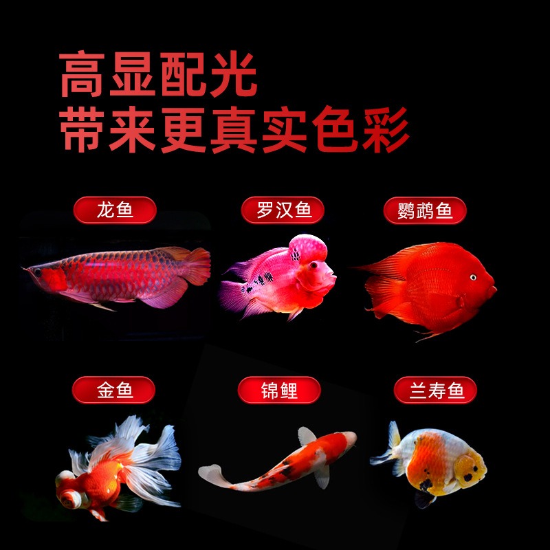 Lampe LED tricolore étanche po - Aquarium Fish Parrot avis et prix