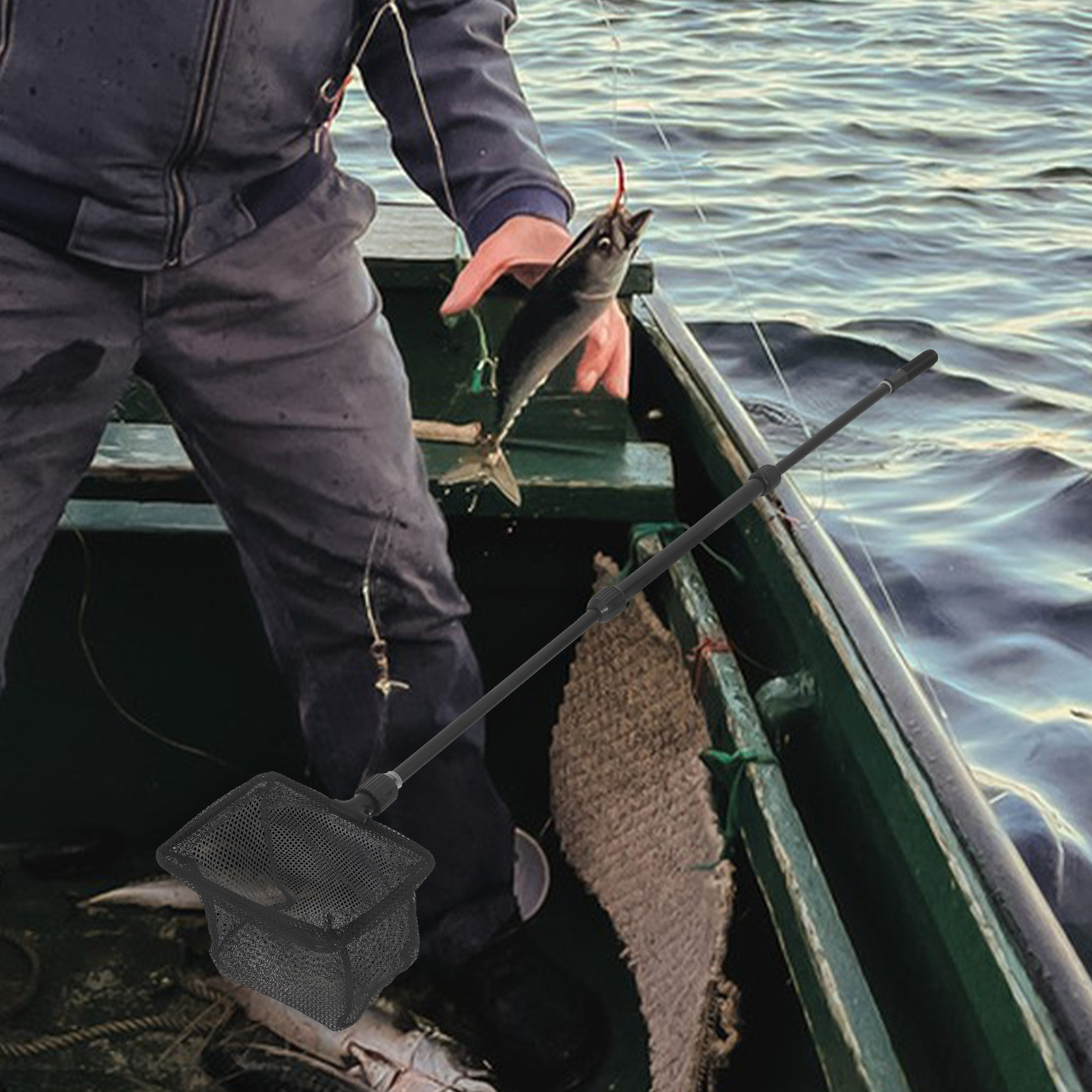 Filet de pêche pour aquarium d - Aquarium Fish Net Small avis et prix