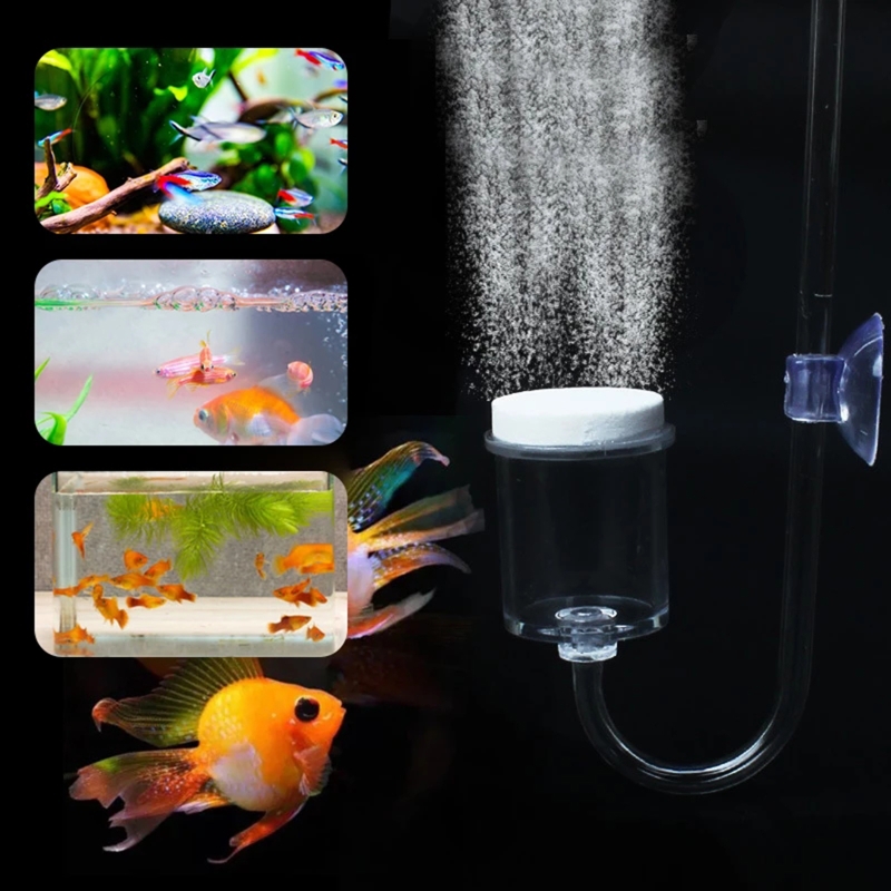 Diffuseur de CO2 pour aquarium - Aquarium Fish Buy avis et prix