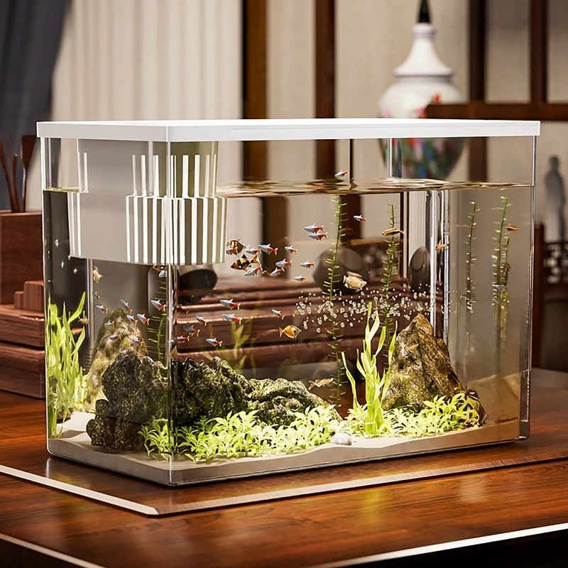 PET + ABS Aquarium nouveau Tra - Aquarium Fish Jar avis et prix