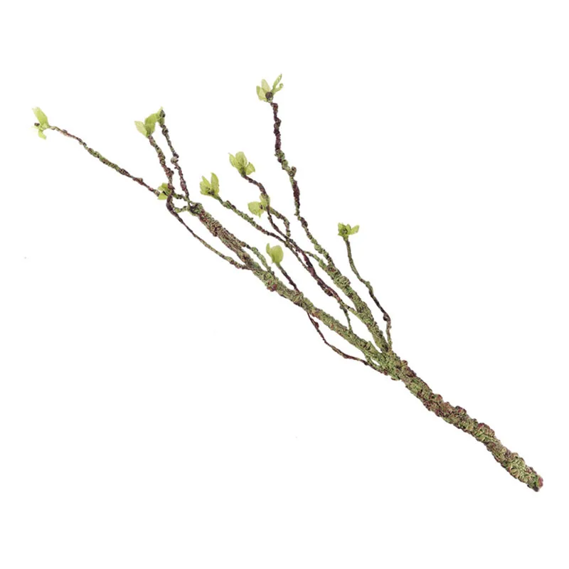 Vignes décor Branches d'escala - Aquarium Fish Buy avis et prix