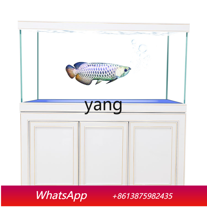 Filtre de fond pour aquarium é - Aquarium Fish Dragon avis et prix