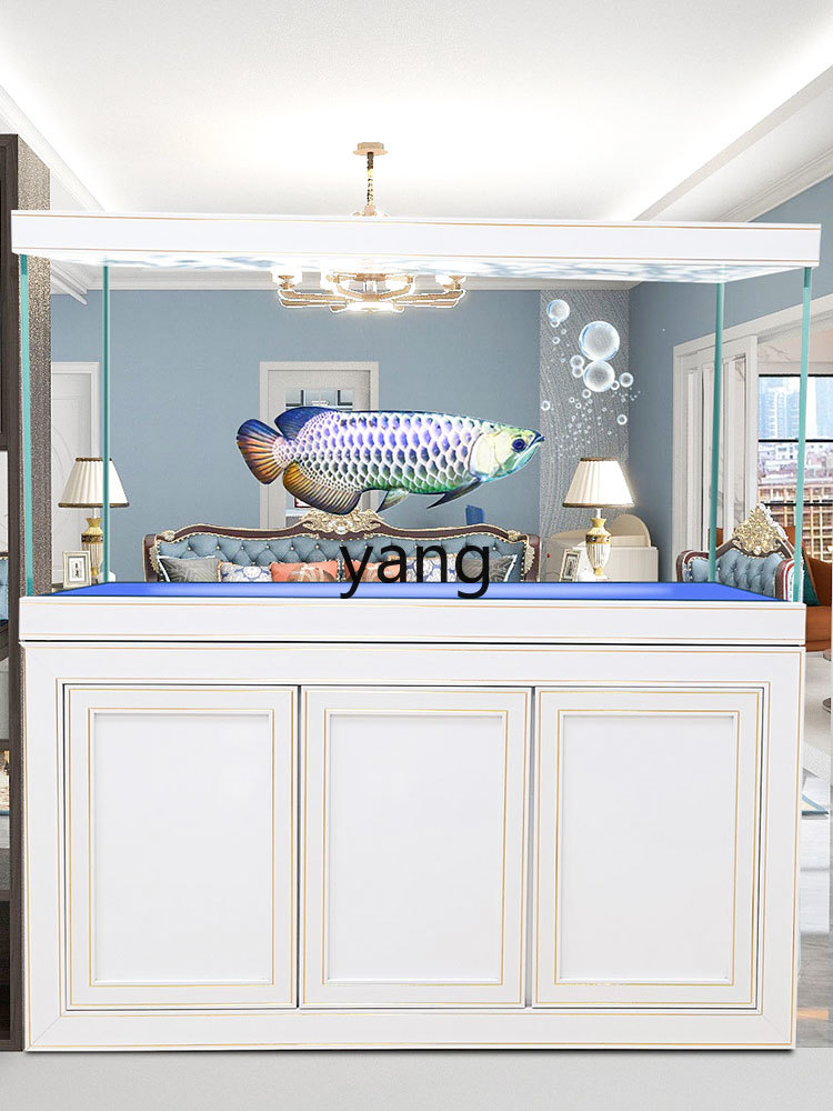 Filtre de fond pour aquarium é - Aquarium Fish Dragon avis et prix