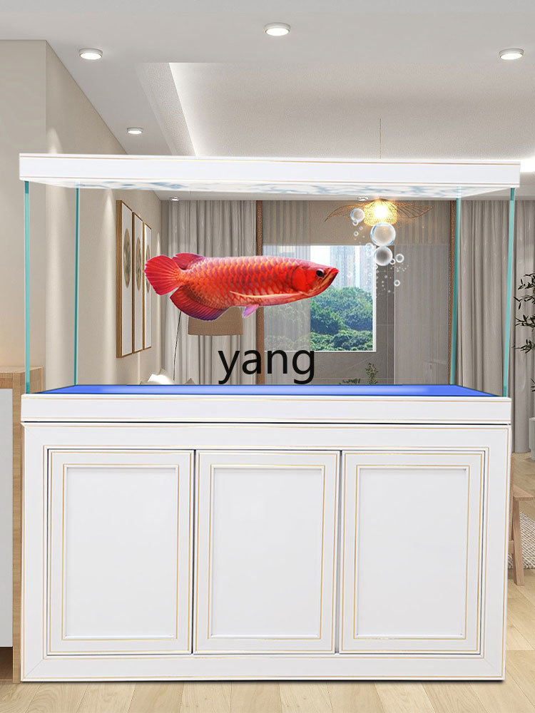 Filtre de fond pour aquarium é - Aquarium Fish Dragon avis et prix