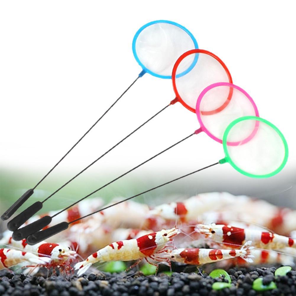 Filets à poissons colorés pour - Aquarium Fish Net Small avis et prix