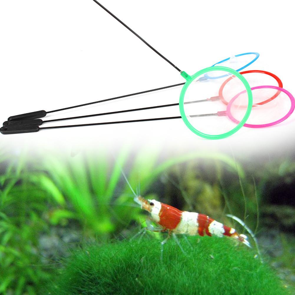 Filets à poissons colorés pour - Aquarium Fish Net Small avis et prix